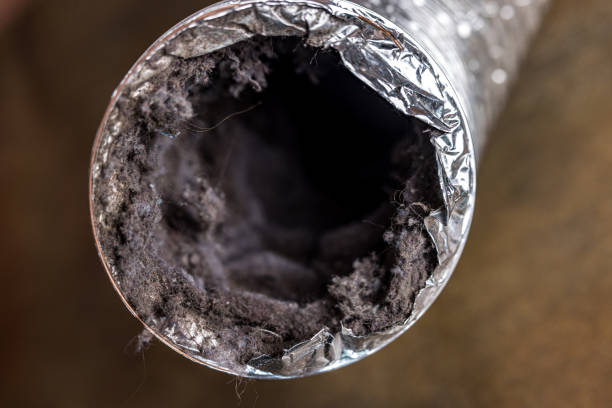 Best Best Air Duct Cleaning Near Me  in Madison Heights, MI